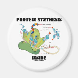 Proteinsyntes inuti (cellbiologi) magnet