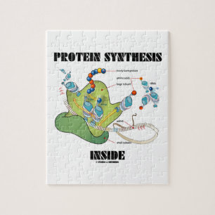 Proteinsyntes inuti (mRNA tRNA) Pussel