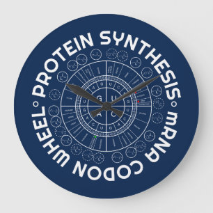 PROTEINSYNTES - mRNA till AMINO SYRLIG CODON Stor Klocka