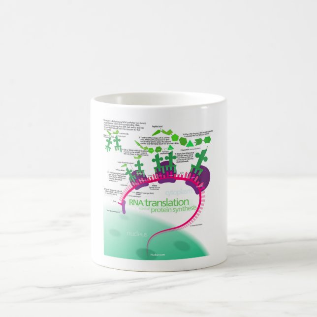 Proteinsyntesdiagram för RNA-översättning Kaffemugg (Center)
