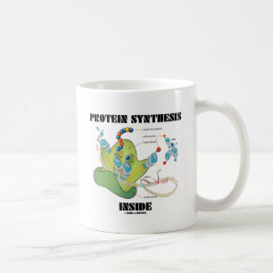 Proteinsyntesinsida (cellbiologi) kaffemugg