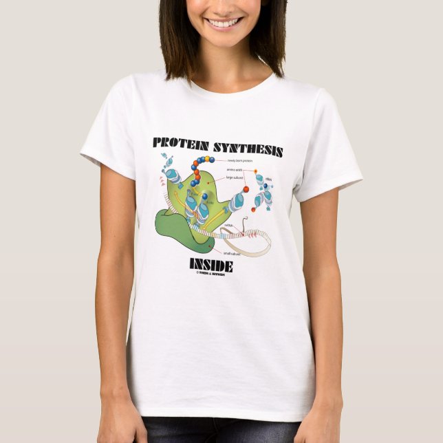 Proteinsyntesinsida (cellbiologi) t-shirt (Framsida)