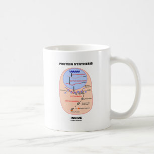 Proteinsyntesinsida (det processaa diagrammet för kaffemugg