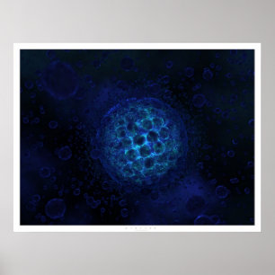 Protist Poster