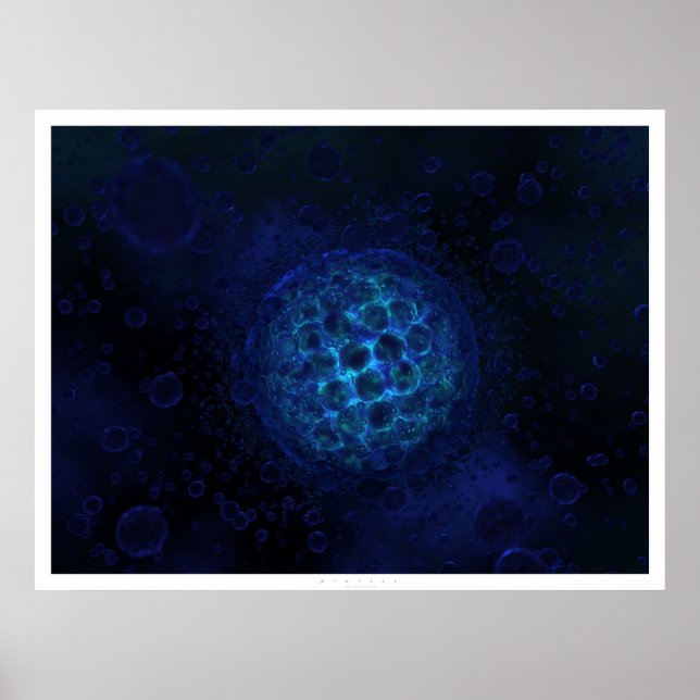 Protist Poster (Framsidan)