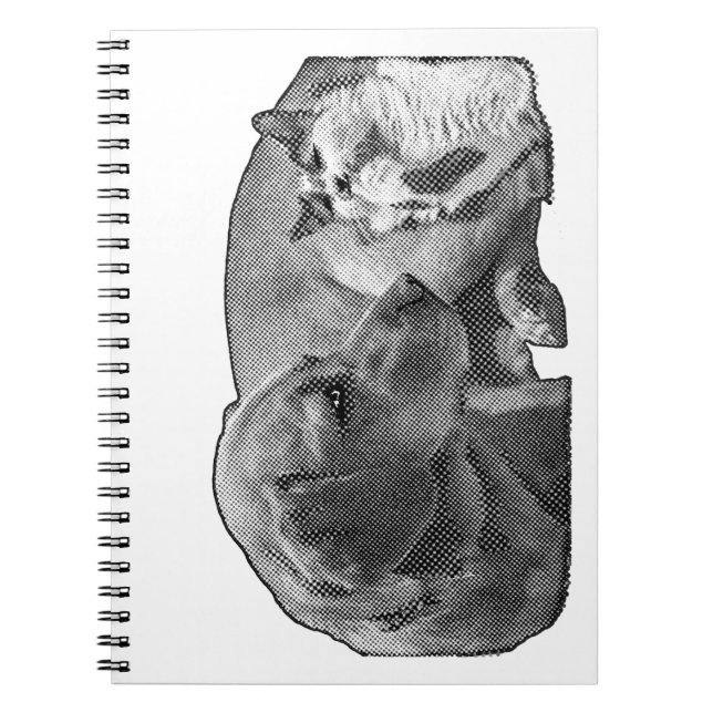 Protokoll från fredskåren anteckningsbok (Framsidan)