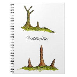 Prototaxites anteckningsbok