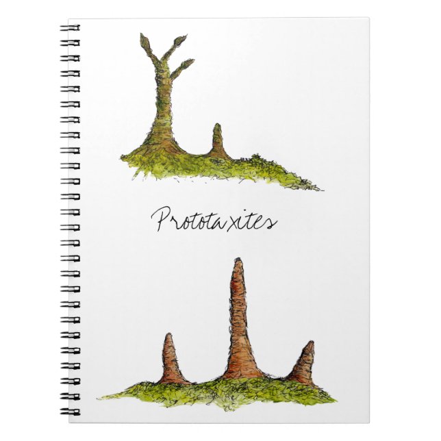 Prototaxites anteckningsbok (Framsidan)