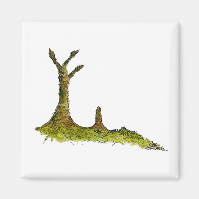 Prototaxites Lichens Magnet (Framsidan)