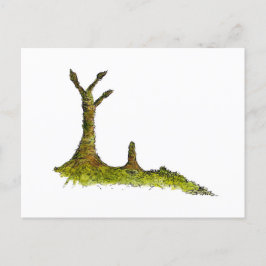 Prototaxites Lichens vykort