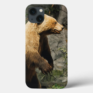 Proud Bear