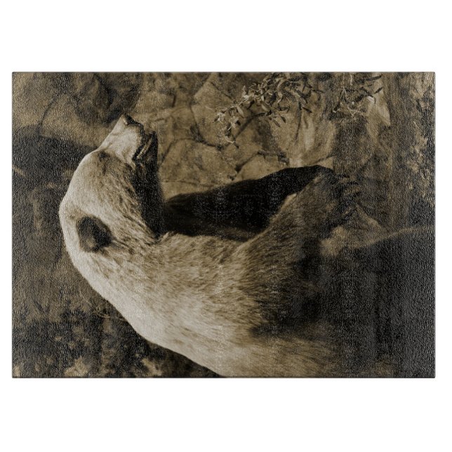 Proud Bear (Framsidan)