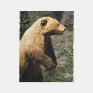 Proud Bear Fleecefilt