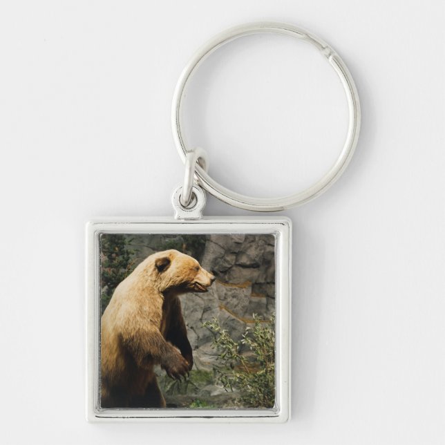 Proud Bear Fyrkantig Silverfärgad Nyckelring (Framsidan)