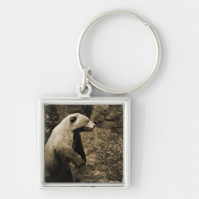 Proud Bear Fyrkantig Silverfärgad Nyckelring (Framsidan)