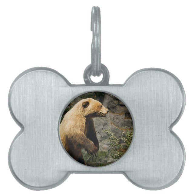 Proud Bear ID-bricka Husdjur (Framsidan)
