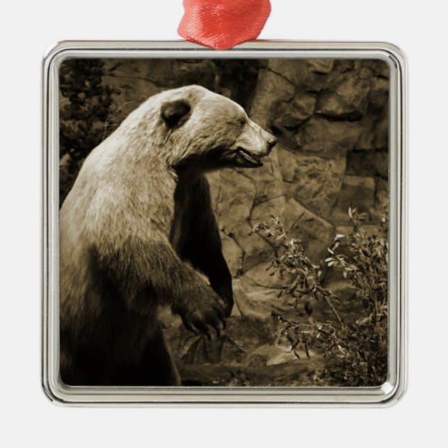 Proud Bear Julgransprydnad Metall (Framsidan)