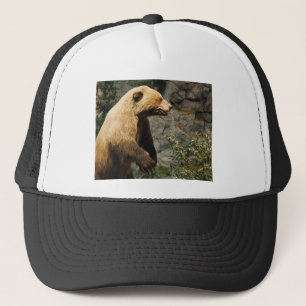 Proud Bear Keps