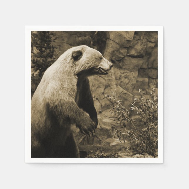 Proud Bear Pappersservett (Framsidan)