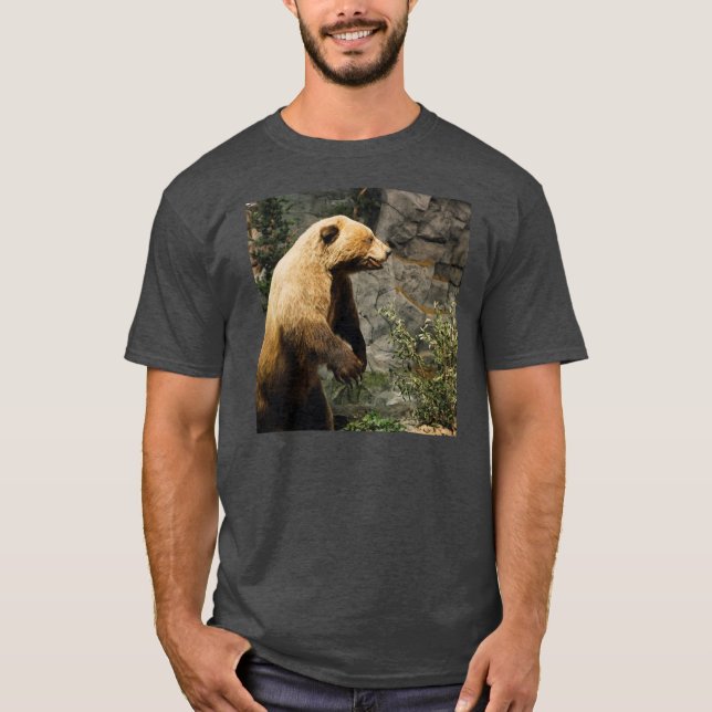Proud Bear T-shirt (Framsida)