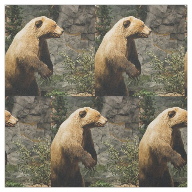 Proud Bear Tyg (Provkarta)