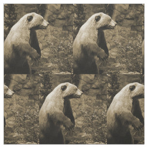 Proud Bear Tyg
