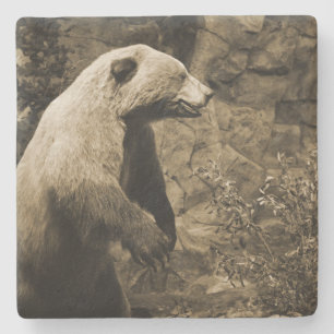 Proud Bear Underlägg Sten