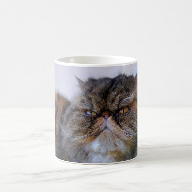 Proud Calico Persian Cat Coffee Mugg (Center)