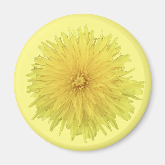 Proud Dandelion Flower - transparent. Magnet (Framsidan)