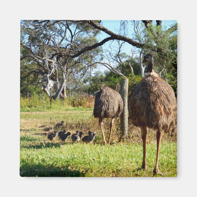 Proud Emu Parents, Fridge Magnet (Framsidan)