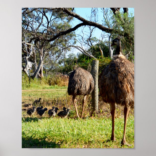 Proud Emu Parents, Poster (Framsidan)
