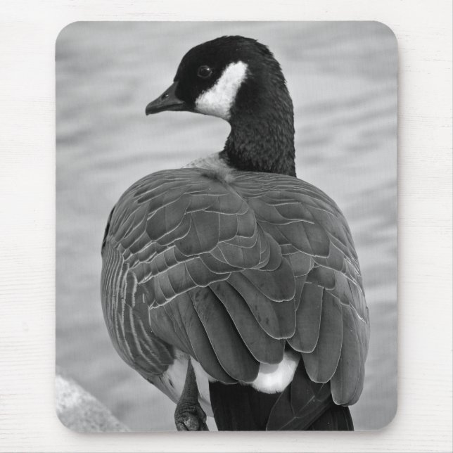 Proud Goose Musmatta (Framsidan)