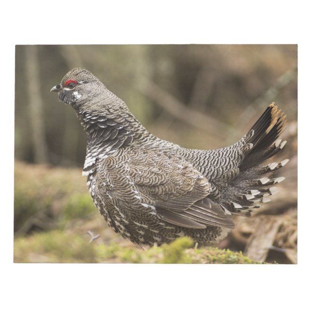 Proud Grouse Anteckningsblock (Framsida)
