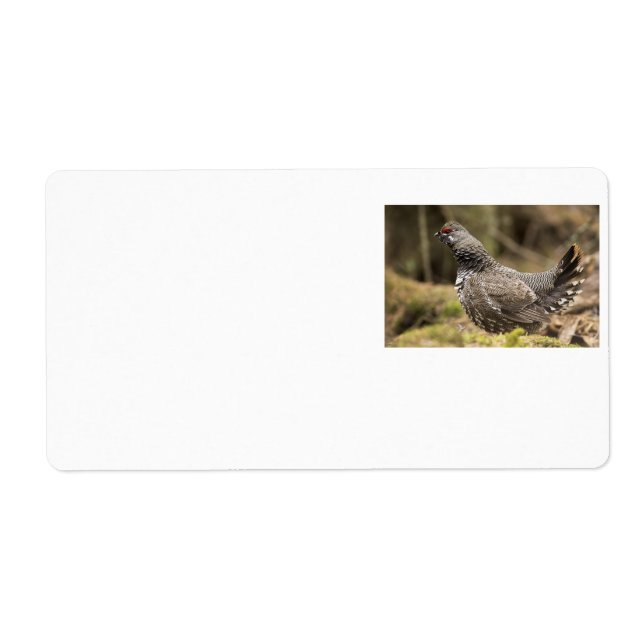 Proud Grouse Fraktsedel (Framsidan)