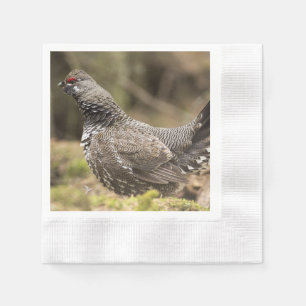 Proud Grouse Pappersservett