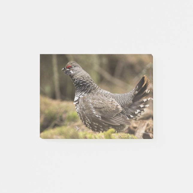 Proud Grouse Post-it Block (Framsida)