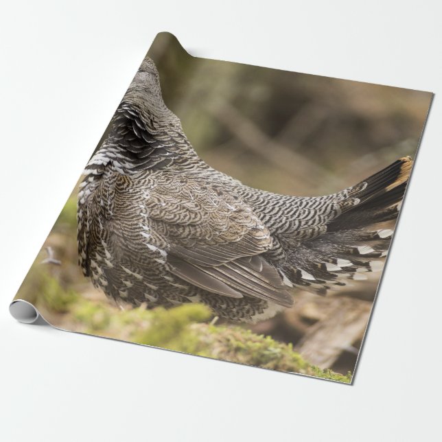 Proud Grouse Presentpapper (Utrullad)