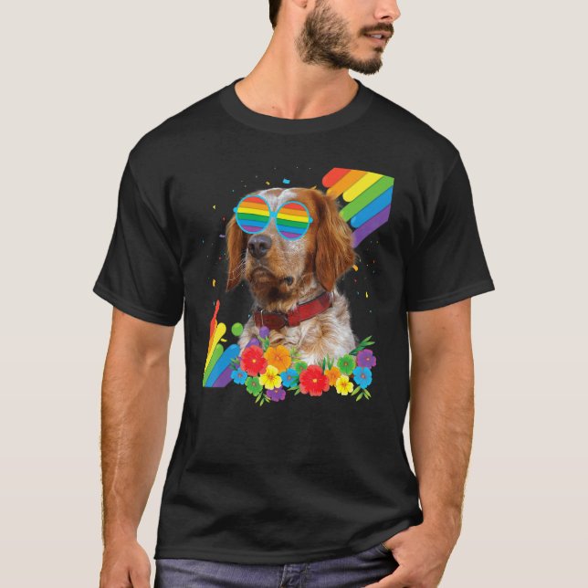 Proud Lgbt Gay Brittany Spain Hund Pride Flagga Ra T Shirt (Framsida)