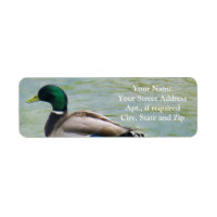 Proud Mallard Anka som Returetiketter