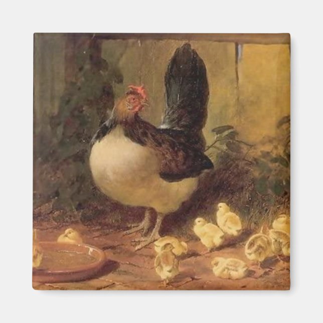 Proud Mor Hen och hennes Chickar (Baby Chickens) Magnet (Framsidan)