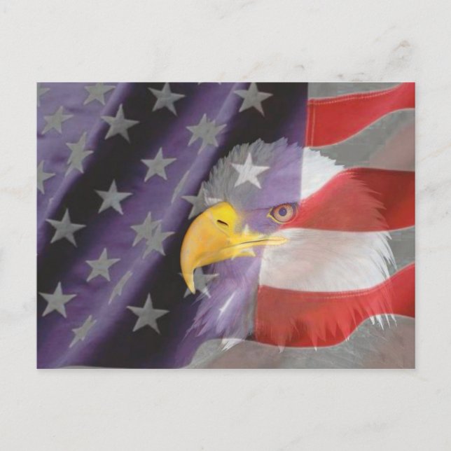 Proud och Patriotic USA Örn vykort (Framsida)