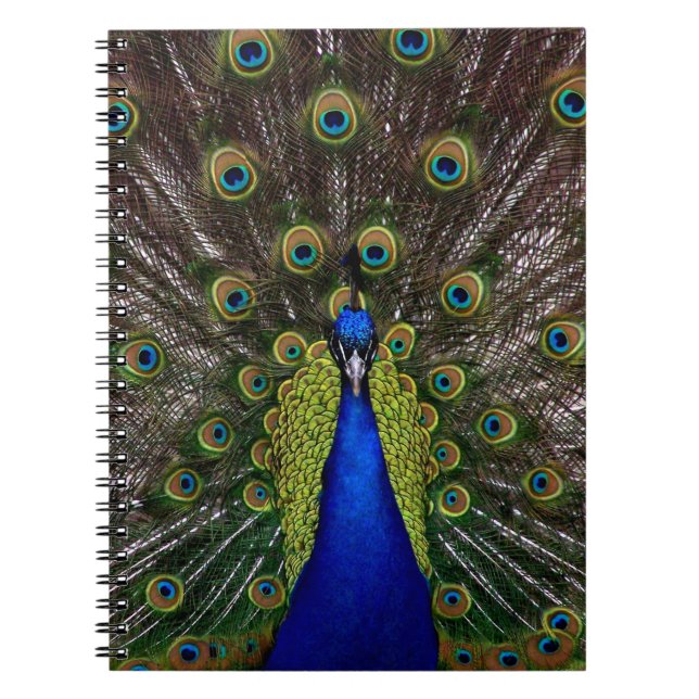 Proud Peacock bärbar dator Anteckningsbok Med Spiral (Framsidan)