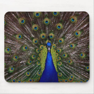 Proud Peacock mousepad Musmatta