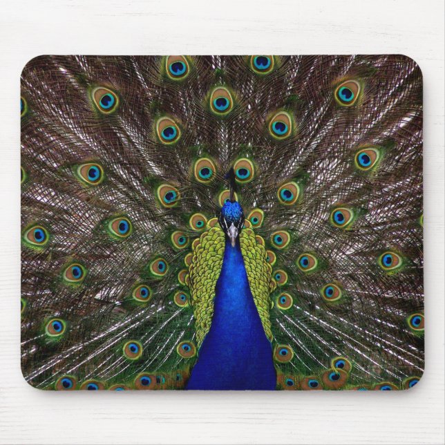 Proud Peacock mousepad Musmatta (Framsidan)