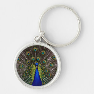 Proud Peacock nyckelring