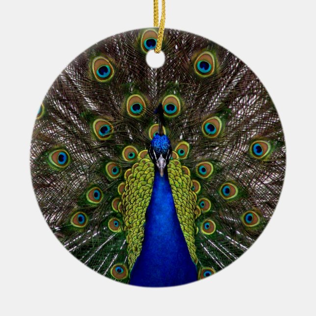 Proud Peacock ornament (Framsidan)