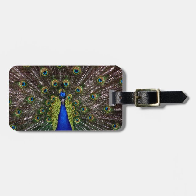 Proud Peacock-resetaggen Bagagebricka (Horisontell Framsida)
