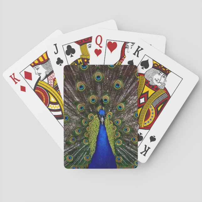 Proud Peacock-spelkort Casinokort (Baksidan)