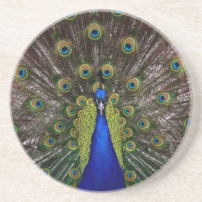 Proud Peacock underlägg Sandsten (Framsidan)