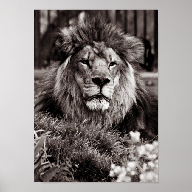 Proud Poster (Framsidan)